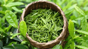 大益东和茶叶网